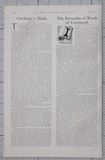 1901 PRINT 4. Mai Artikel Story Lieutenant D DALLAS ~ Hai-Fang Durch Seemann