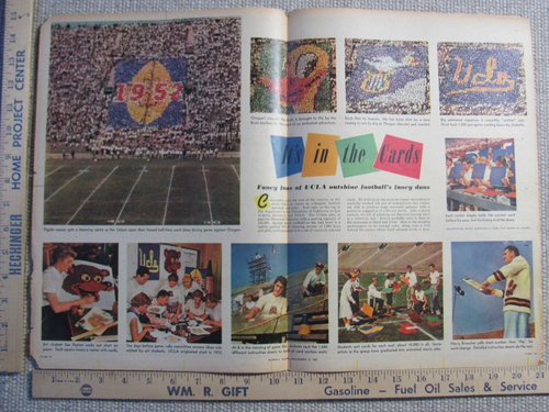 1952 Brooklyn Dodgers Team Picture Sunday News Newspaper November 9 - Picture 9 of 9