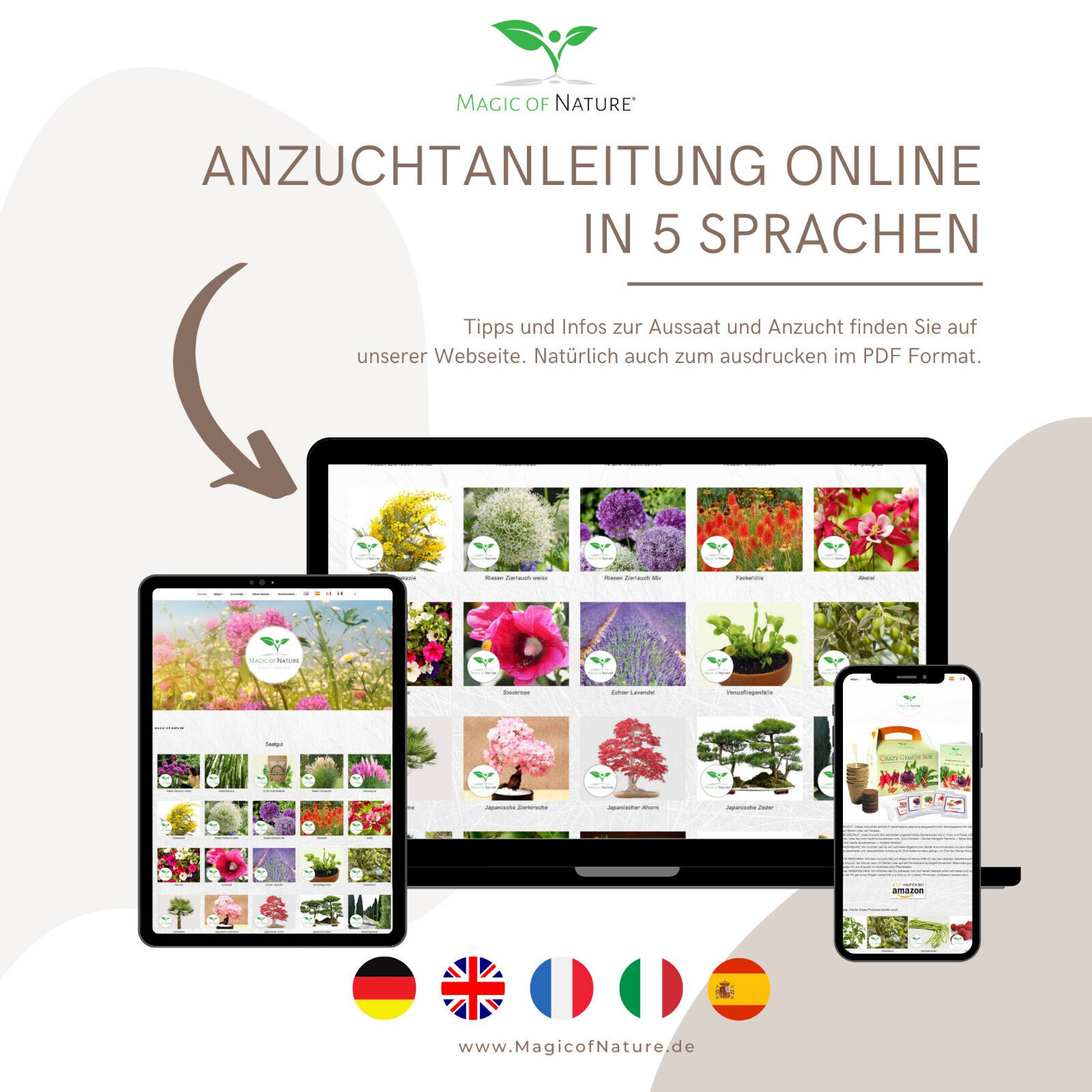 Bild 6 von 7