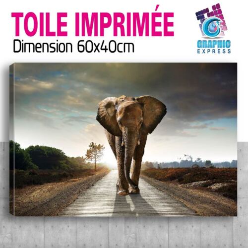 50x90cm -3 TOILES IMPRIMEE-TABLEAU DECORATION MURALE - ELEPHANT - EL10-V3T - Foto 10 di 18