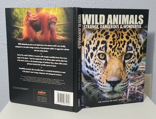 Wild Animals Strange, Dange& Wonderful Tom Jackson & Barry Madden Book - Bild 6 von 10