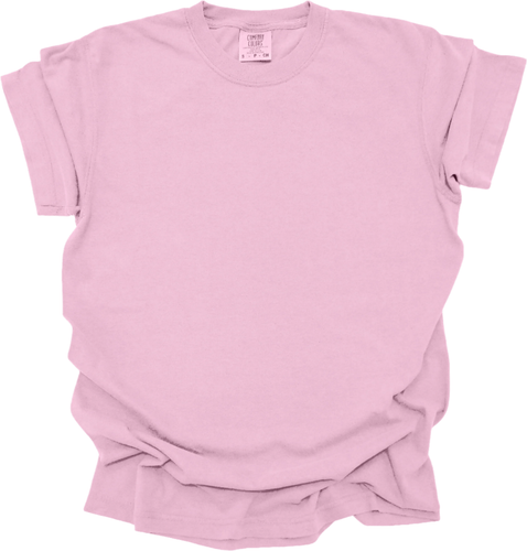Blank Comfort Colors 1717 Women’s T-Shirt (Multiple Colors) - Picture 53 of 124
