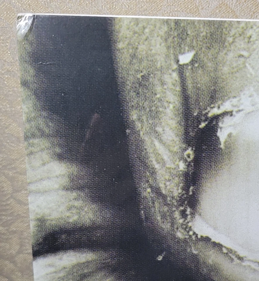 BUCKCHERRY 15 (Sealed & New)w/minor sleeve damage - Image 3 of 4