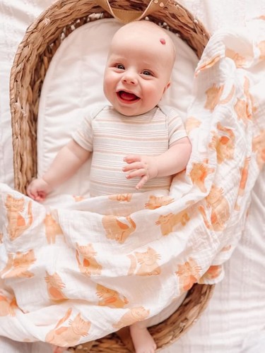 Extra Large Super Soft Muslins - Animal Designs - Gift Boxed 4-Pack - Picture 3 of 6