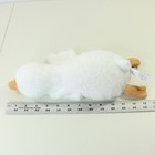 Foto 9 di 13