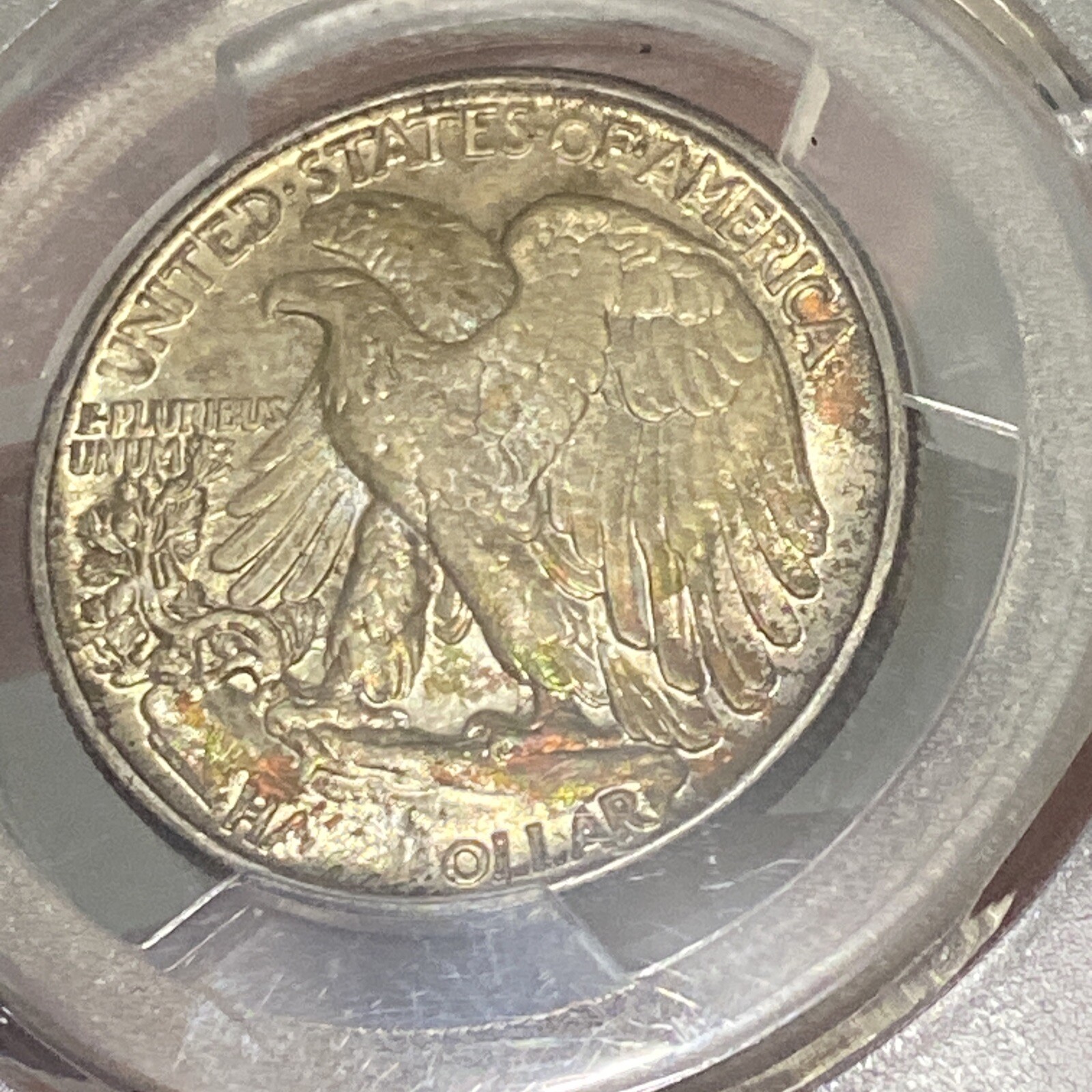 Picture 20 of 20