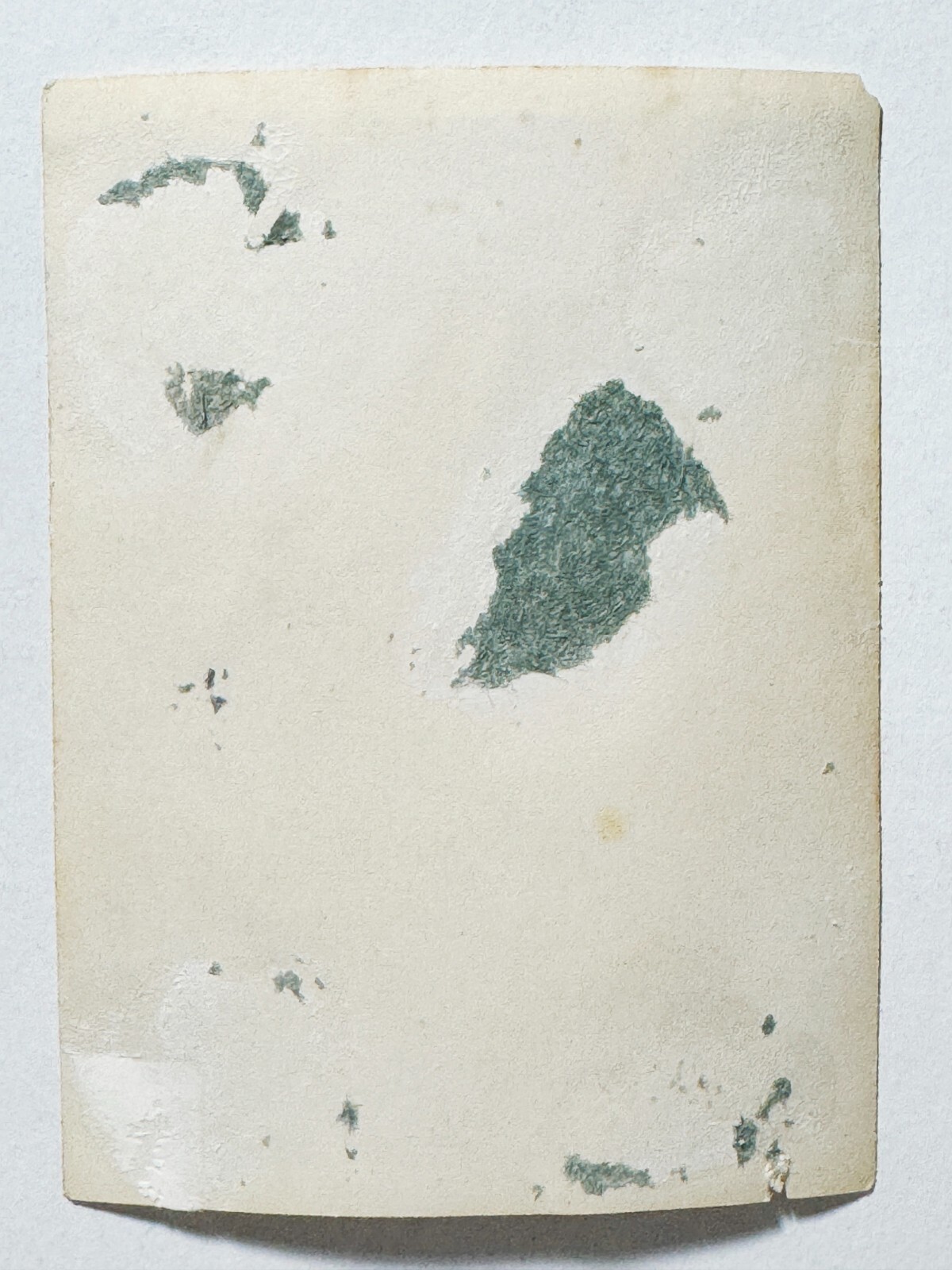 Picture 6 of 6