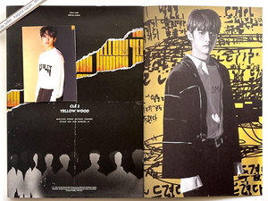 Stray Kids Cle 2 Yellow Wood Limited Edition for sale | eBay