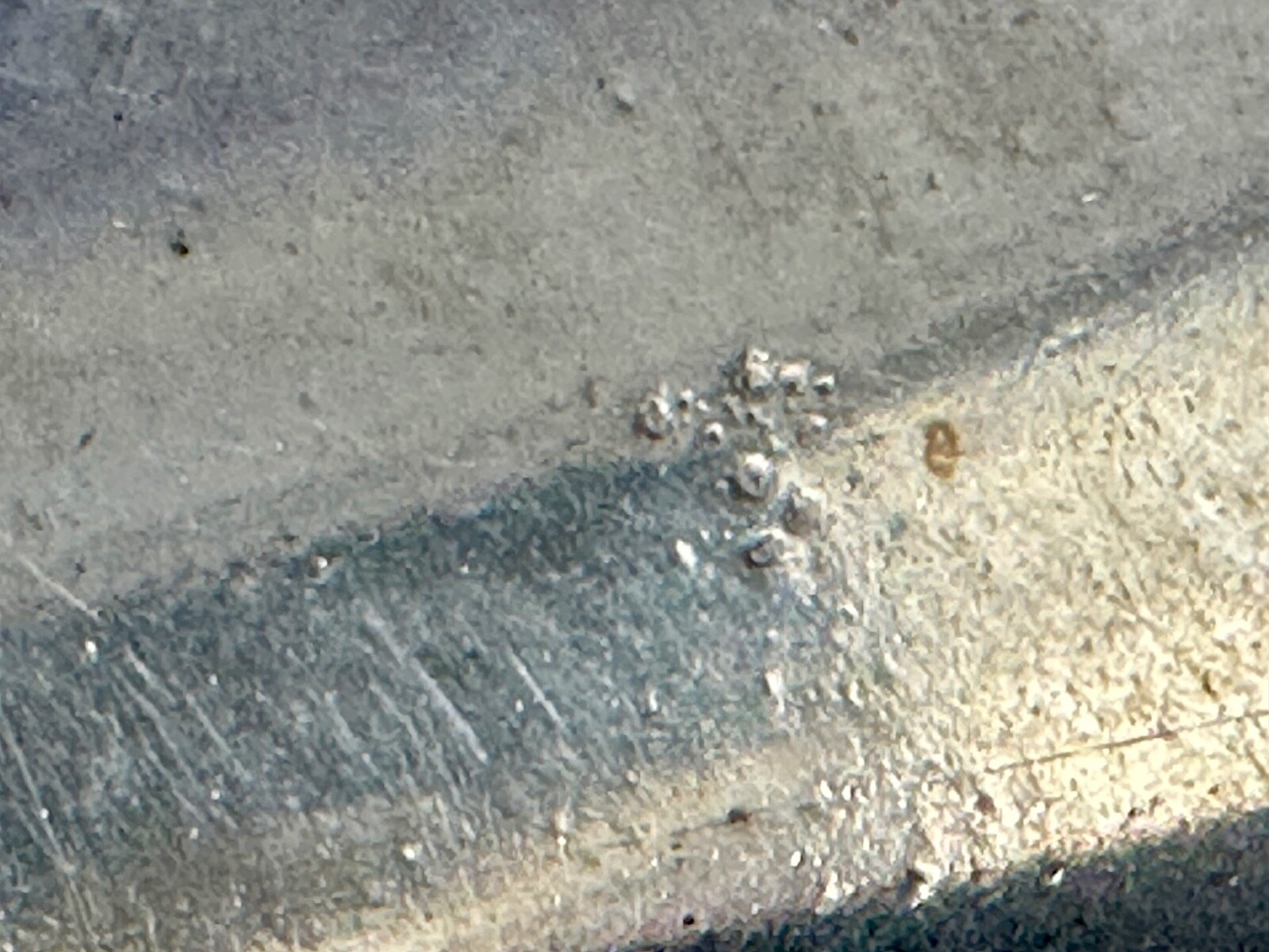 Bild 12 von 20