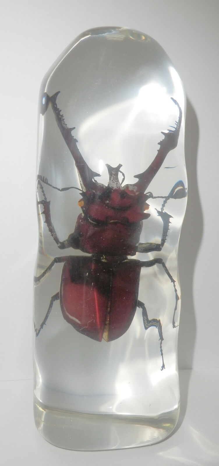 Picture 1 of 6