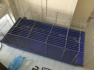 indoor guinea pig rabbit cage blue base excellent condition