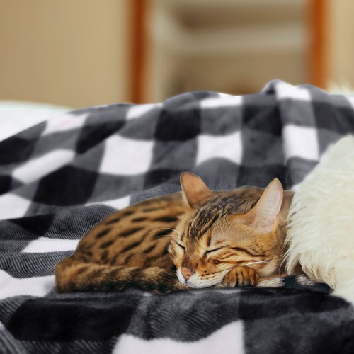 Manta de Navidad a cuadros de búfalo a cuadros suave de felpa polar para sofá sofá - Imagen 6 de 15