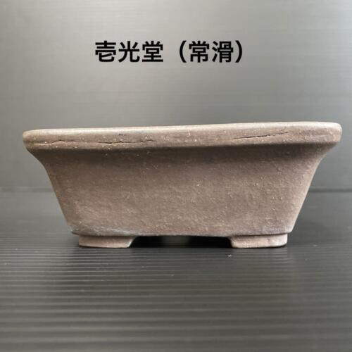 Japanese Bonsai pot TOKONAME IKKO-DO Rectangular shape W11.9cm H4.9cm Unglazed - Picture 2 of 24