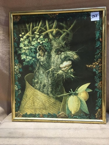 Bild mit Rahmen aus der Auflösung einer Sammlung, Gemüsekopf #3968