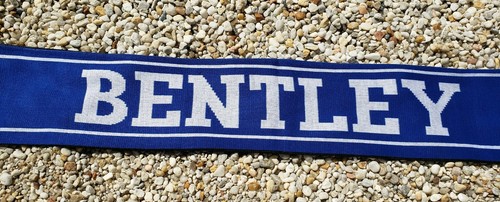 Bentley University FALCONS Scarf Student Section Dorm Frat Decor - Picture 8 of 9