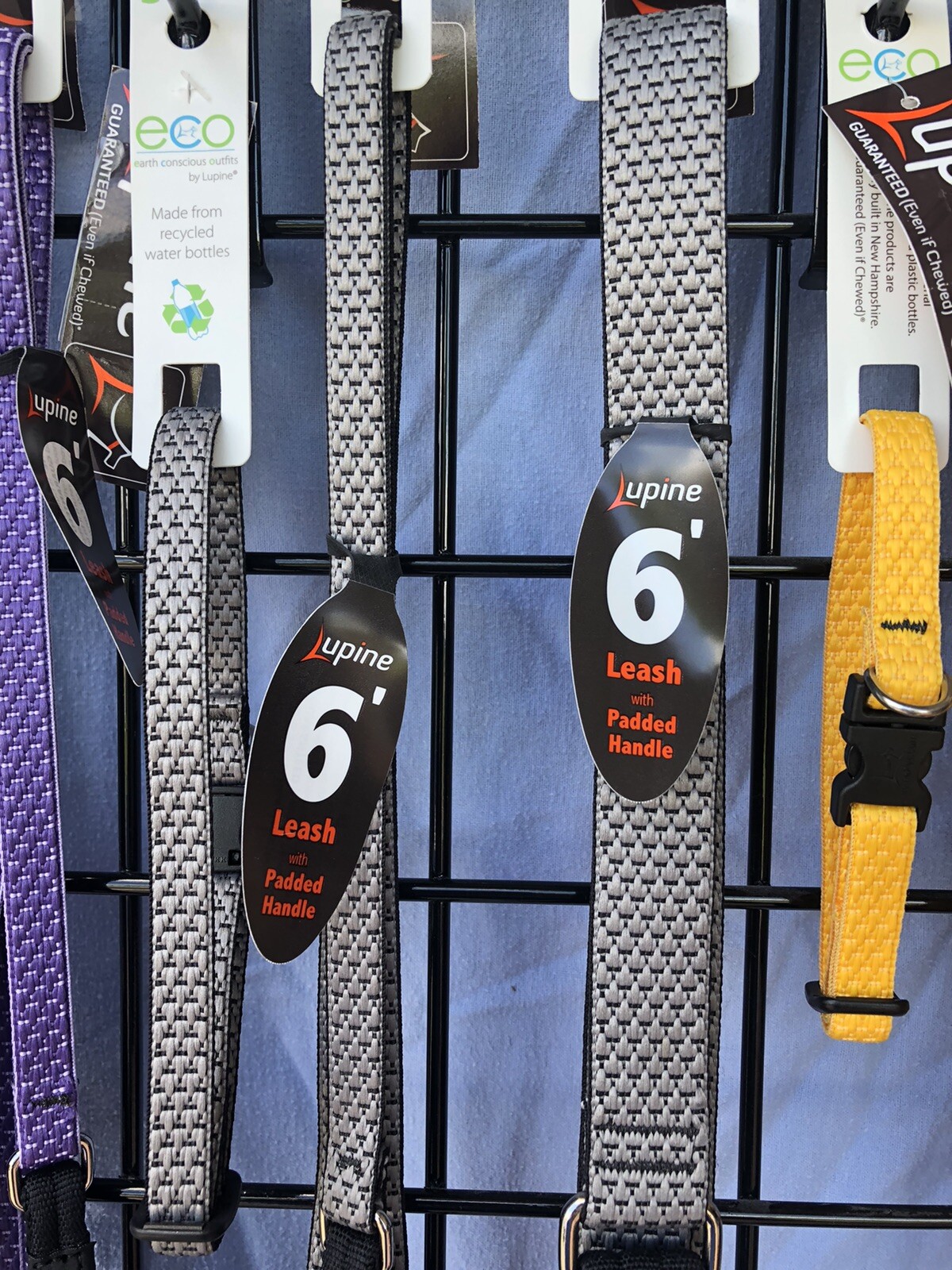 Nwt Dog Pet Collars & Leashes Lupine Brand Lifetime Guarantee ECO Line