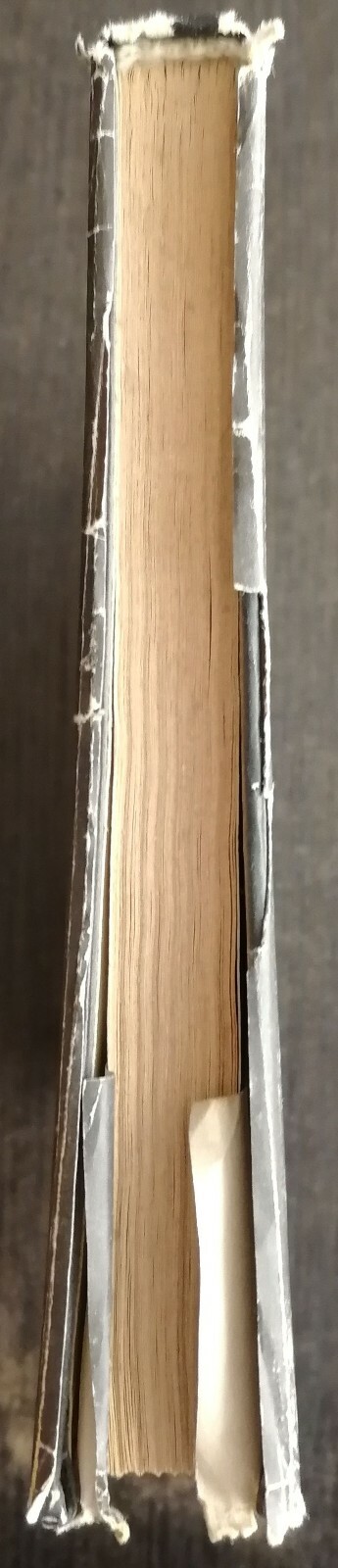Picture 4 of 12