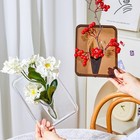 Acrylic Photo Frame Dual-Purpose Design Easy To Display Plants Plant Display