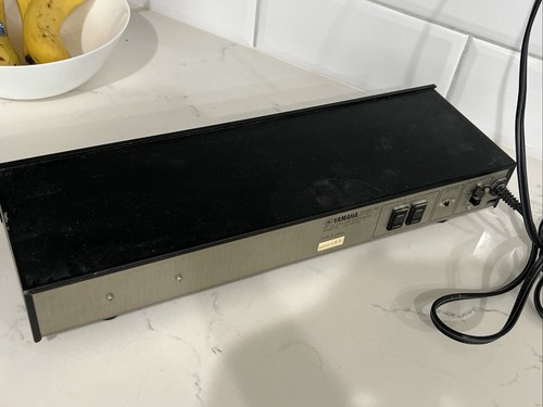 Yamaha DT-60 Natural Sound Audio Timer Tested Works Japan - Imagen 6 de 6