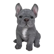 Blue French Bulldog Puppy Sitting Garden Statue Free Shipping