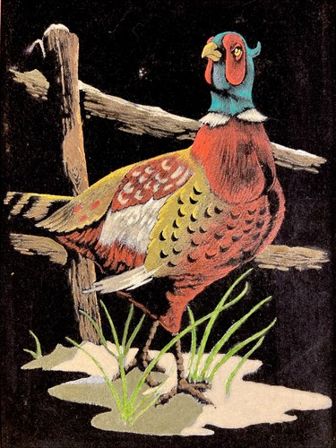 Vintage MCM 10x14" schwarzer Samt "Fasan Vogel" Gemälde - gerahmt - Bild 2 von 3