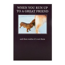 Friend Humour Funny Happy Birthday New Hallmark Greeting Card  - Medium