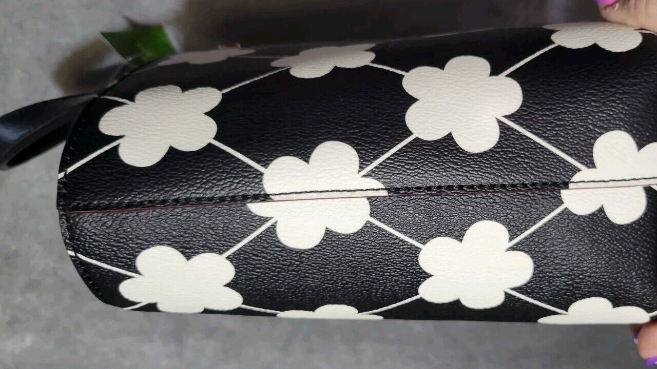 Picture 12 of 14