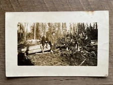 c1910 - Horse & Men Hauling Timber - Lumber - Antique Real Photo Postcard RPPC