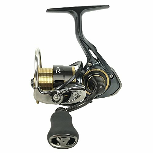 Daiwa (Daiwa) Spinning Carretes teoría de tamaño 17 2004 (2000) Daiwa (Daiwa) Spinning Carretes teoría de tamaño 17 2004 (2000)