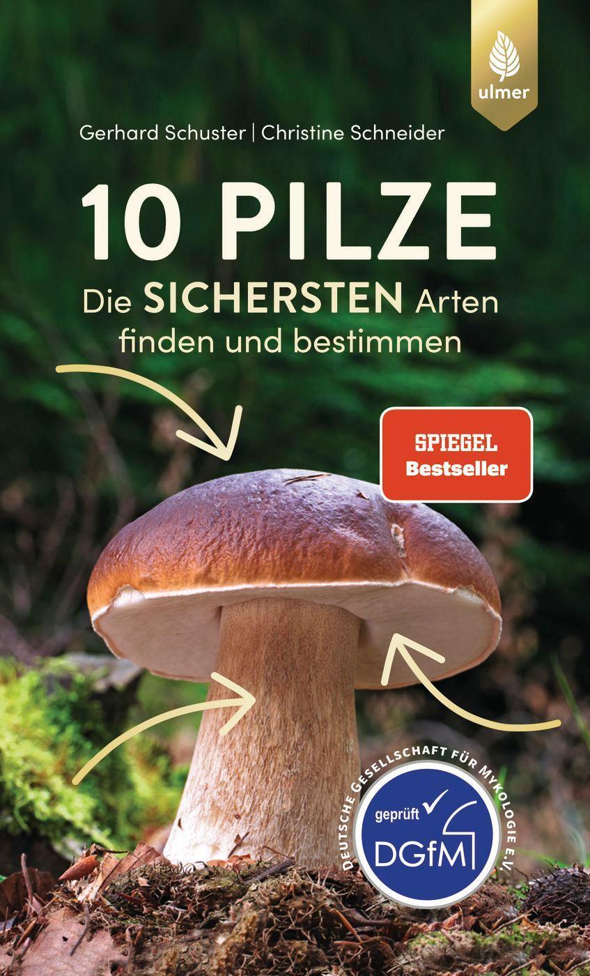 10 Pilze Gerhard Schuster