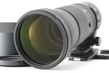 [MINT] SIGMA 150-600mm F5-6.3 DG OS HSM C for Canon EF w/Hood Filter JAPAN