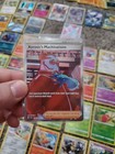 Foto 10 di 24