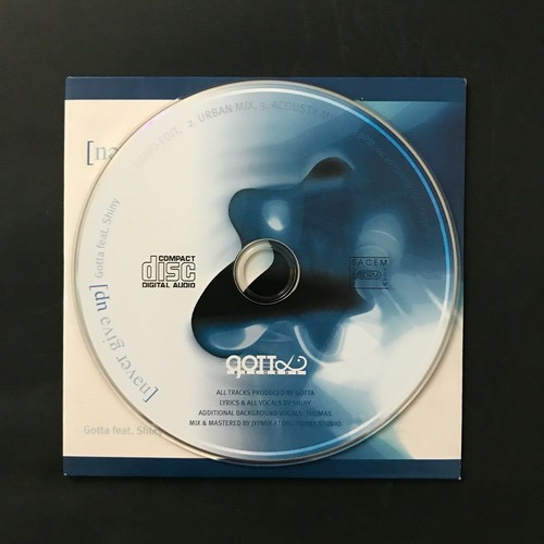 Gotta fest. Shiny - Never Give CD Single France 2003 Gotta Records Got 05 - Picture 3 of 3