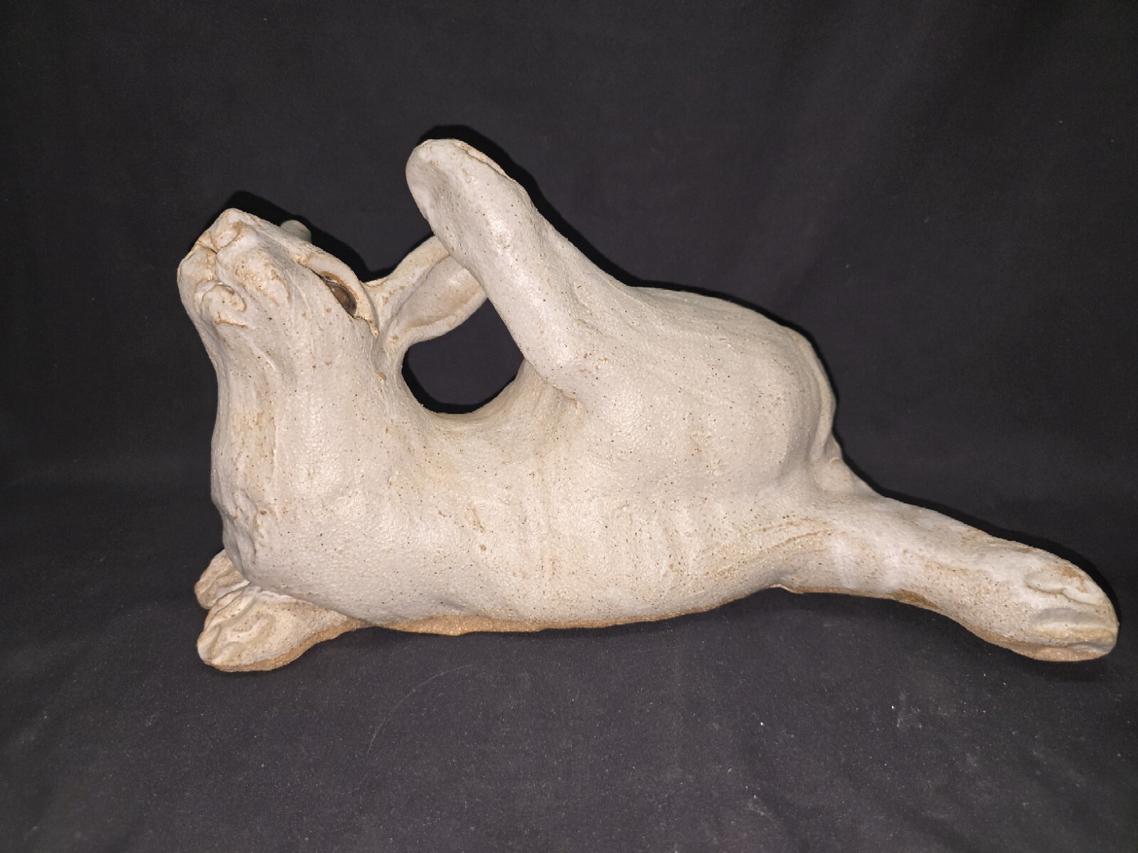 Picture 7 of 24