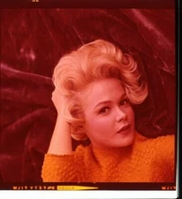 Sandra Dee Vintage Color Glamour Pin Up Original 2.25 x 2.25 Transparency