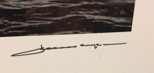 Póster impreso enmarcado NYC 911 Paisaje Manhattan Torres Gemelas 2’x3’ memoria firmada - Imagen 2 de 3