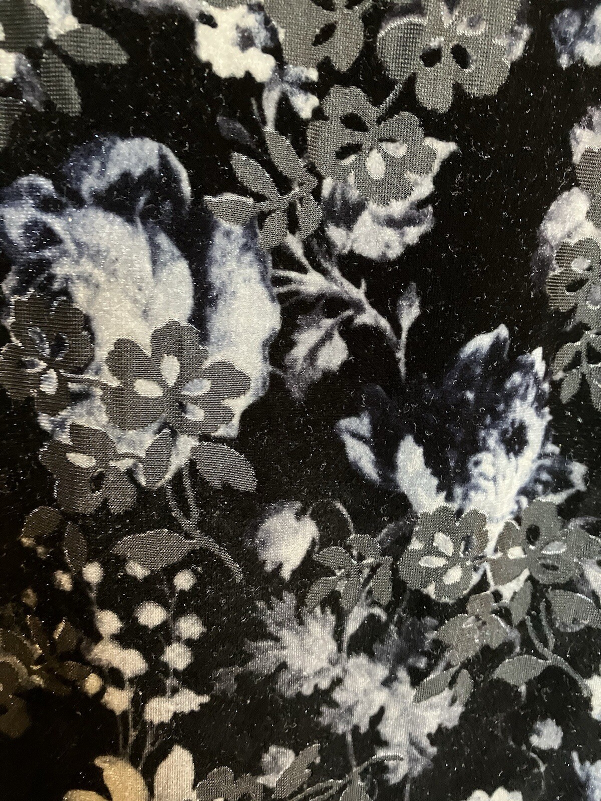 Picture 6 of 13