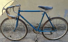 FAHRRAD BIKE RENNRAD PAAR BLUMEN LAGERFUND NEU MADE ITALY 60 70