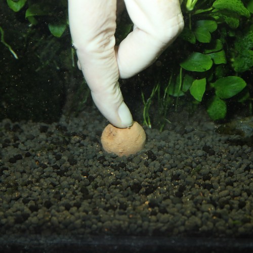 Wurzeldüngung Düngemittel Pflanzendünger Aquarium ohne Phosphat & Nitrat - Bild 3 von 12