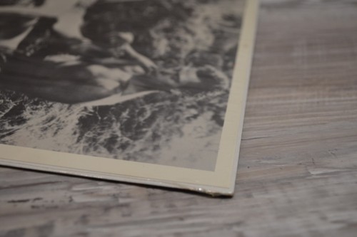 WEISSMÜLLER & O'SULLIVAN Tarzan und Jane 8x10 Foto Film Stills Print - Bild 4 von 5