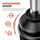 Bild 5 von 8