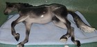 Bild 10 von 11