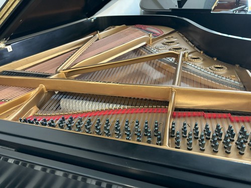 Steinway Model B 7' semi concert grand - Picture 16 of 23