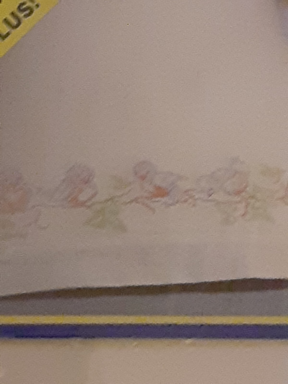 Picture 10 of 10