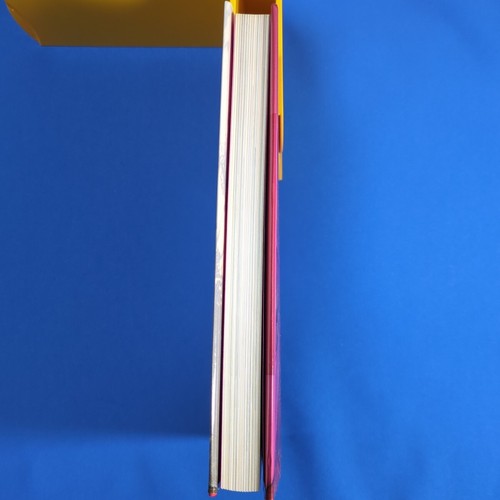 Casa Barragan Hardcover Luis Barragan Houses 2002 Book Architecture English & Jp - Picture 20 of 20