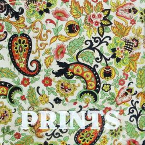 Печатает альбом Prints (CD)
