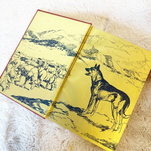 VINTAGE 1935 “Valiant Dog of the Timberline” Hardcover Book By Jack O’Brien - Bild 4 von 9