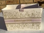 Dior gift clutch paper bag (medium)