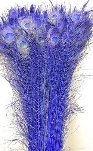 Piume CODE DI PAVONE SBIANCATE 30""-40"" Molti Colori 10-200 Pz Artigianato di Halloween - Foto 11 di 14