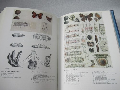 Life Histories of South African Lycaenid Butterflies - Clark & Dickson HB-DJ - Imagen 12 de 12